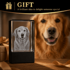 Personalized 3D Pet Crystal Keepsake with LED Base - Laverina