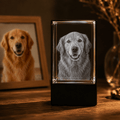 Personalized 3D Pet Crystal Keepsake with LED Base - Laverina