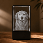 Personalized 3D Pet Crystal Keepsake with LED Base - Laverina